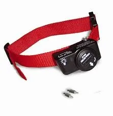 PetSafe® Wireless PIF-300-21
