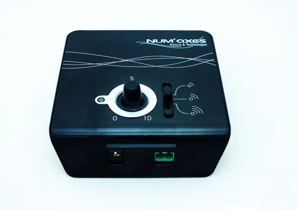 Canifugue 2015