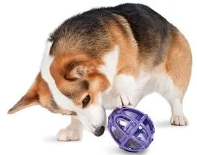 Hračka pre psov Kibble Nibble