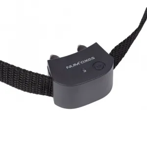 Num´axes Canifugue Small