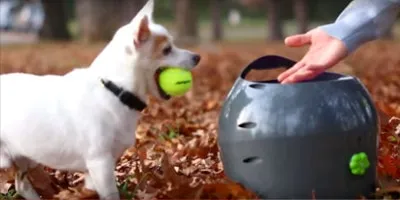 BAZÁR - Automatický vrhač loptičiek PetSafe