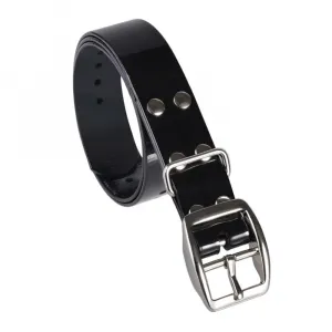 Obojok a prijímač Reedog MX-1200 Sport