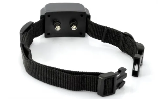 Obojok a prijímač Petrainer PET998DR