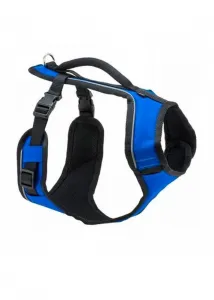 PetSafe® EasySport™