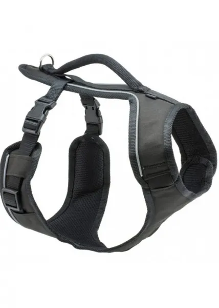 PetSafe® EasySport™