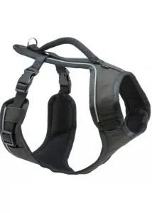 PetSafe® EasySport™