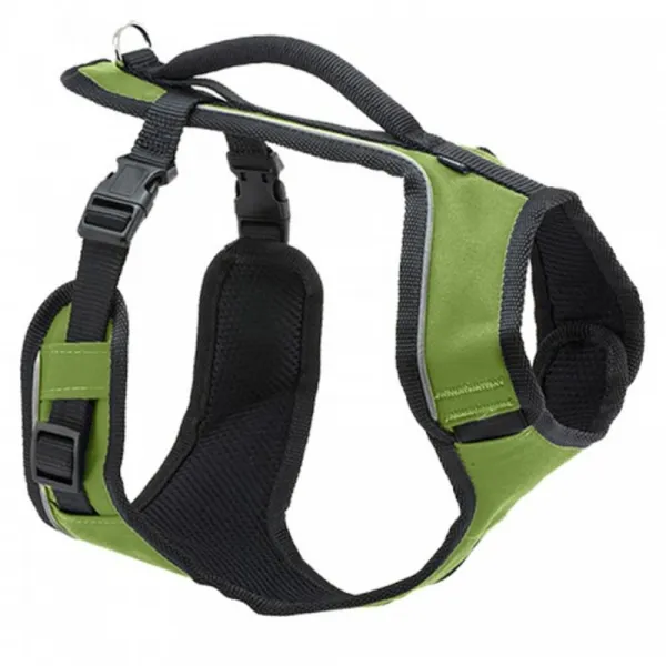 PetSafe® EasySport™