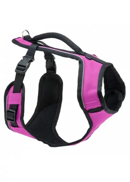 PetSafe® EasySport™