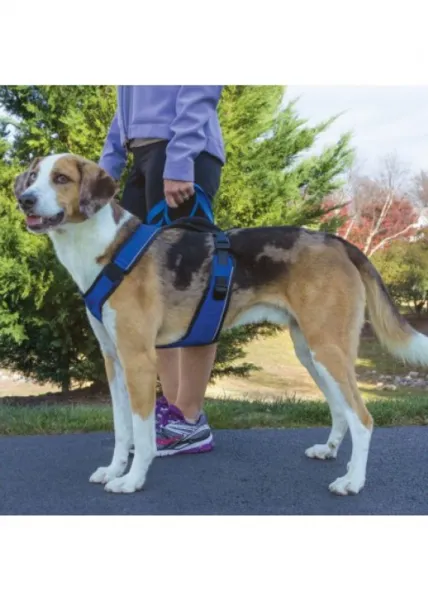 PetSafe® EasySport™
