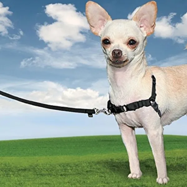 Easy Walk™ Harness