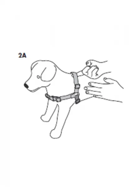 Easy Walk™ Harness