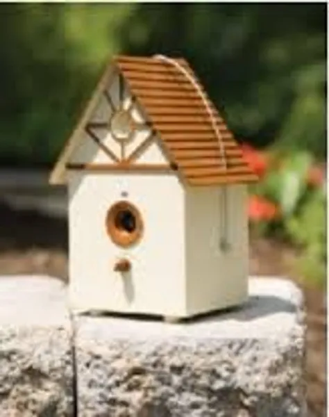 PetSafe Outdoor