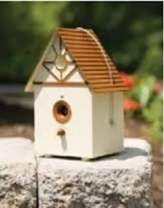 PetSafe Outdoor