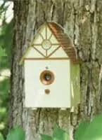 PetSafe Outdoor