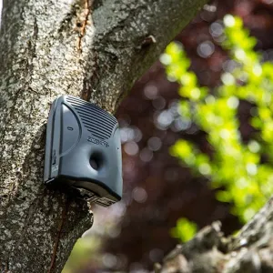 GoodLife Dog Silencer MAX