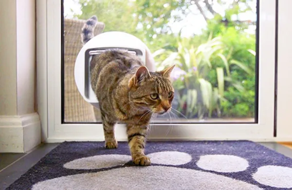 Dvierka pre mačky Sureflap Microchip Cat Door Connect