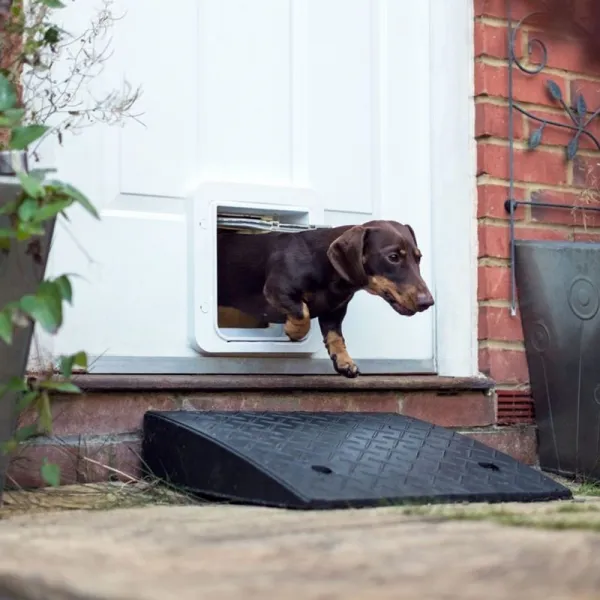 Dvierka pre psov Sureflap Microchip Pet Door Connect