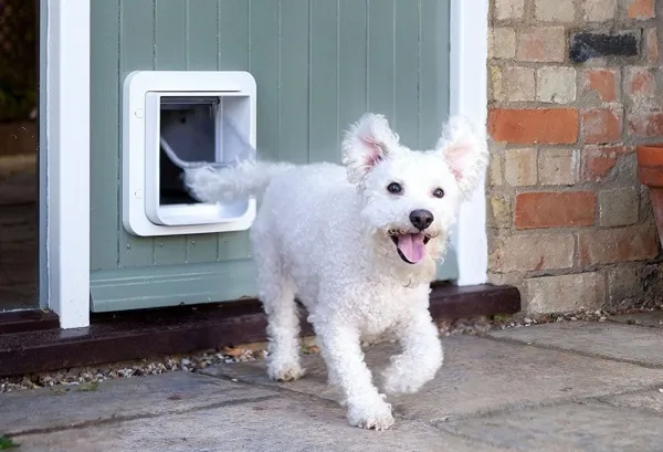 Dvierka pre psov Sureflap Microchip Pet Door Connect