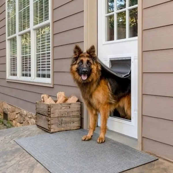 Dvierka PetSafe® Extreme Weather Door™ do chladného počasia