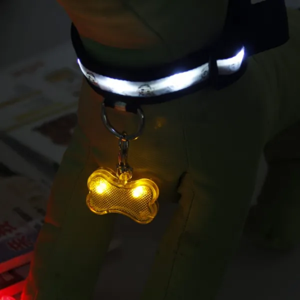 Reedog svietiaci prívesok pre psov a mačky - kosť - Modrá
