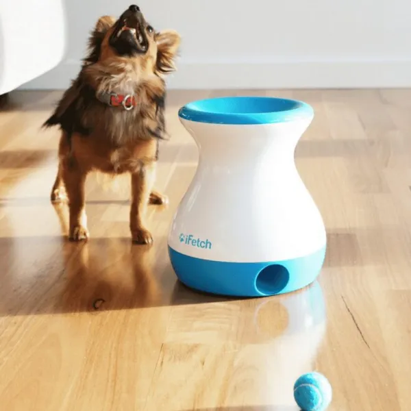 iFetch Frenzy automatický vrhač loptičiek pre malé a stredné psy