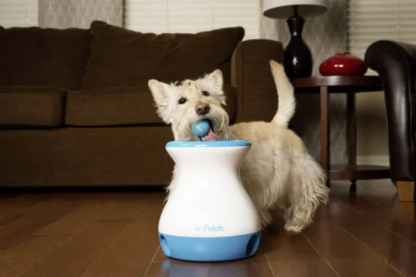 iFetch Frenzy automatický vrhač loptičiek pre malé a stredné psy