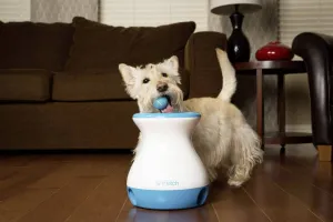 iFetch Frenzy automatický vrhač loptičiek pre malé a stredné psy