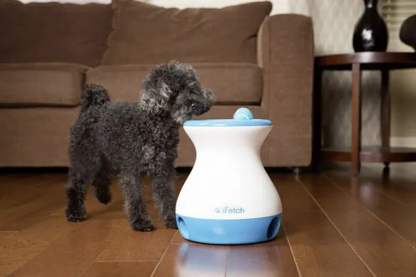 iFetch Frenzy automatický vrhač loptičiek pre malé a stredné psy