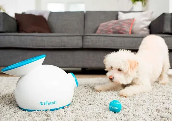 iFetch Original automatický vrhač loptičiek