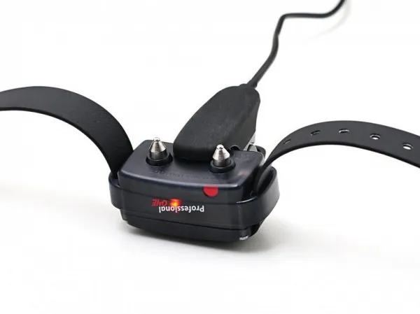 Dogtrace d-control professional 1000 ONE orange