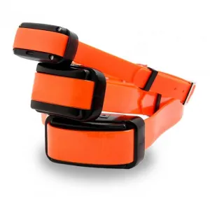 Dogtrace d-control professional 1000 - orange