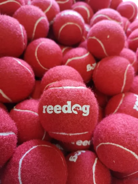 Reedog tenisová loptička pre psa - M