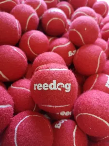 Reedog tenisová loptička pre psa - M