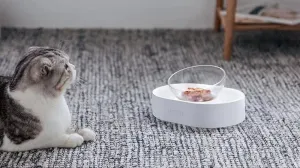 Petkit Fresh Nano miska s nastaviteľným uhlom