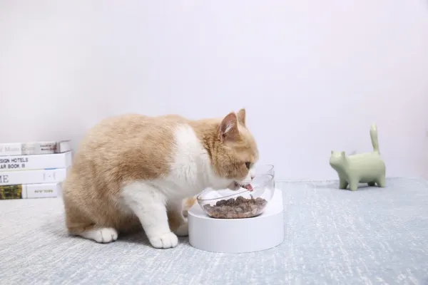 Petkit Fresh Nano miska s nastaviteľným uhlom