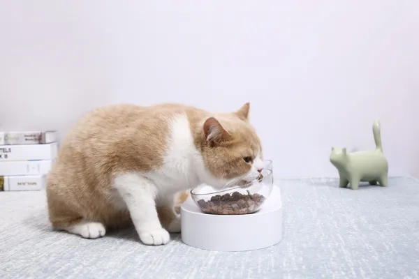 Petkit Fresh Nano miska s nastaviteľným uhlom