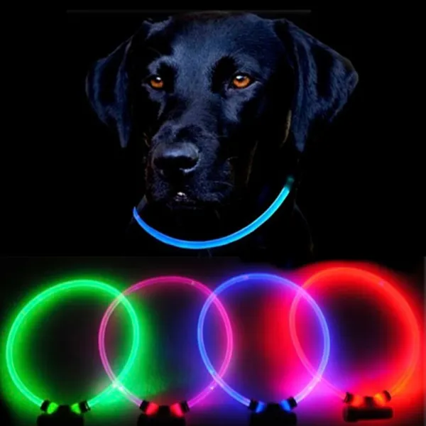 Reedog Full Light USB nabíjací svietiaci obojok pre psy a mačky - Modrá - M