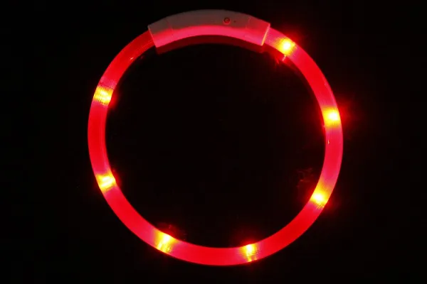 Reedog Easy Light USB nabíjací svietiaci obojok pre psy a mačky