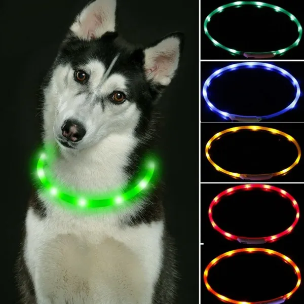 Reedog Easy Light USB nabíjací svietiaci obojok pre psy a mačky - Modrá