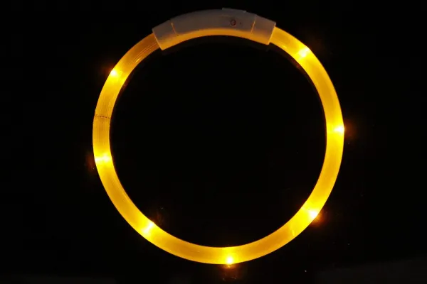 Reedog Easy Light USB nabíjací svietiaci obojok pre psy a mačky