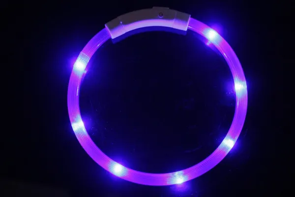 Reedog Easy Light USB nabíjací svietiaci obojok pre psy a mačky