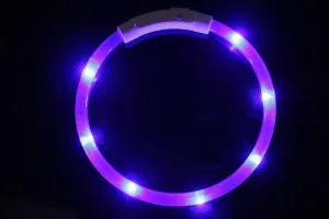 Reedog Easy Light USB nabíjací svietiaci obojok pre psy a mačky