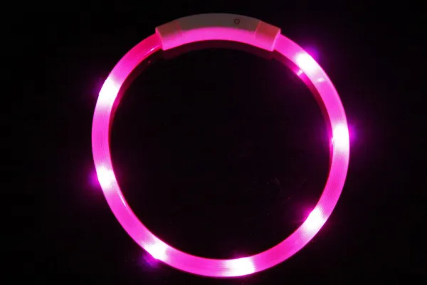 Reedog Easy Light USB nabíjací svietiaci obojok pre psy a mačky