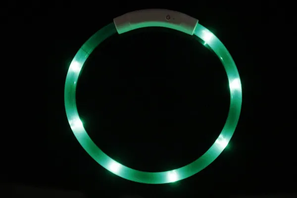 Reedog Easy Light USB nabíjací svietiaci obojok pre psy a mačky