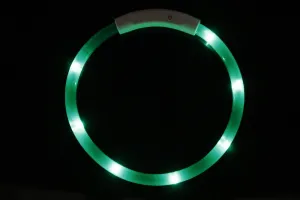 Reedog Easy Light USB nabíjací svietiaci obojok pre psy a mačky