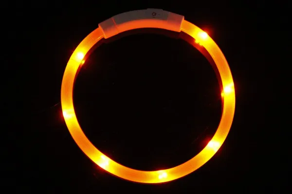 Reedog Easy Light USB nabíjací svietiaci obojok pre psy a mačky