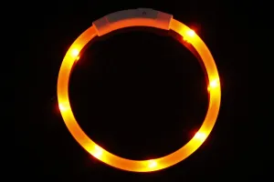Reedog Easy Light USB nabíjací svietiaci obojok pre psy a mačky
