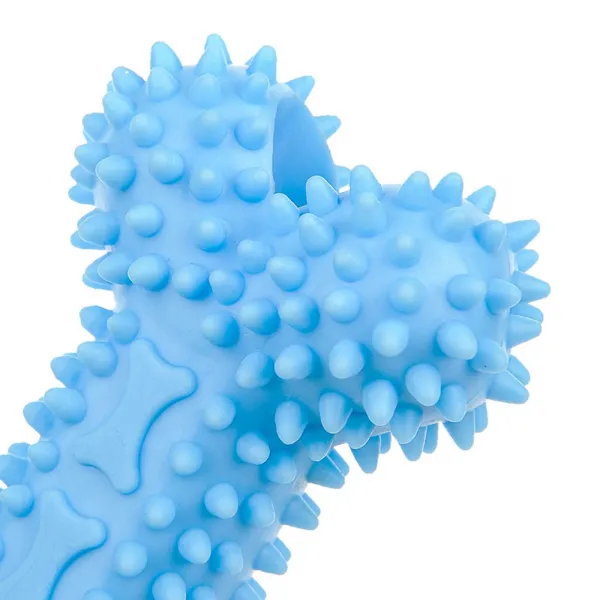 Reedog Bone, gumová dentálna hračka pre psov, 12 cm