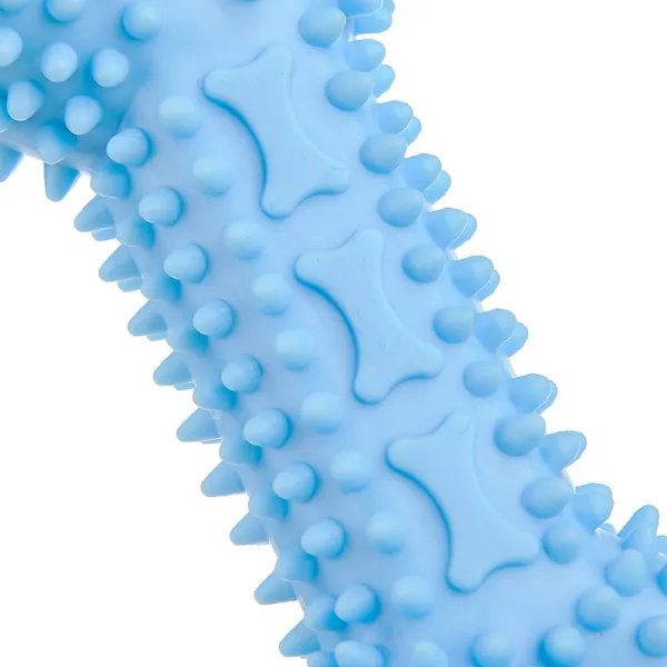 Reedog Bone, gumová dentálna hračka pre psov, 12 cm