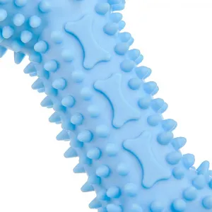 Reedog Bone, gumová dentálna hračka pre psov, 12 cm